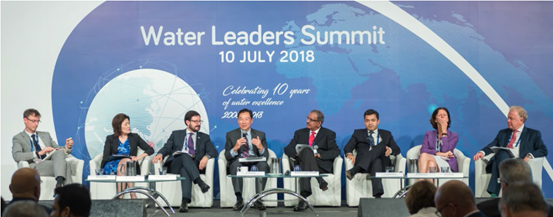 水領導人高峰會座談