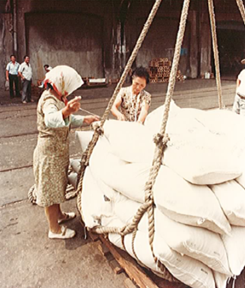 糧食出倉裝船前女工縫補糧袋缺口